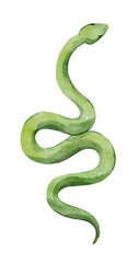 Watercolor green snake