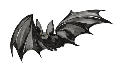 Fototapeta premium Watercolor bat animal