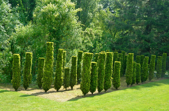 Les jardins de S&eacute;ricourt,