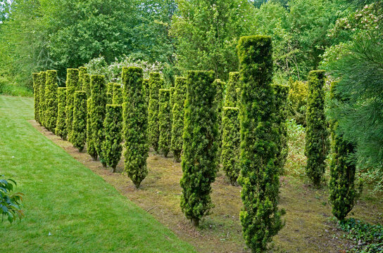 Les jardins de S&eacute;ricourt,