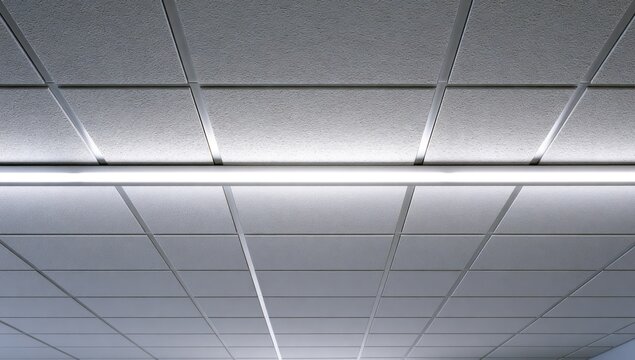 Overhead view of a grid ceiling with recessed fluorescent lighting