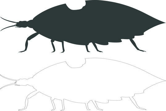 Leaf insect silhouette vector illustration set with silhouette creature minimalist illustration monochrome template isolated entomology specimen stylized backdrop abstract camouflage