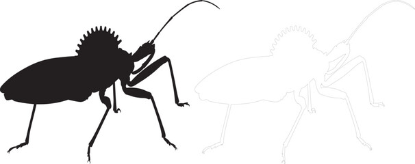 Graphic illustration of a spiky insect silhouette and ghostly outline with silhouette wildlife creature entomology minimalist stylized isolated illustration creative decorative artistic © esmotara