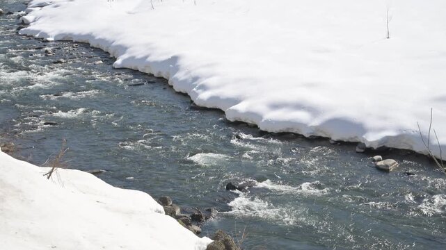 Snowmelt River in Japan, Flowing Stream with Melting Snow, Spring Thaw Landscape in Asia, Winter Nature Background, Clear Freshwater, 4K Video