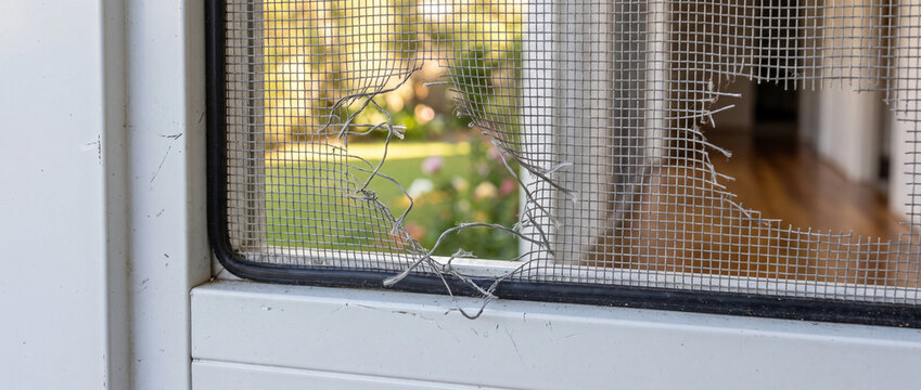 Torn mesh screen door with visible damage and outdoor background  