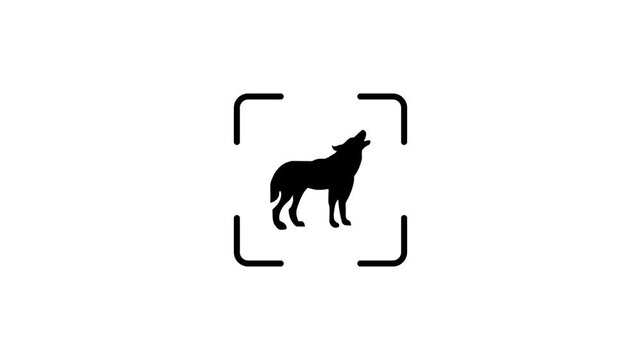 A dynamic animation of a wolf icon with a scanning effect, symbolizing animal identification and wild creature tracking.