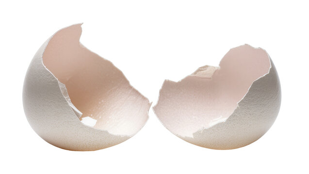 Broken white eggshell halves with rough edges, isolated on transparent background