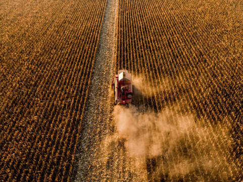 Combine harvester emitting smoke working in corn farm