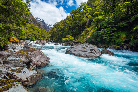New Zealand, Southland, Te Anau, Long exposure of Hollyford River rushing in Fiordland National Park