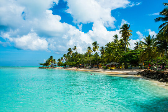Scenic view of palm trees at Pigeon Point Beach against cloudy sky, Trinidad And Tobago, Caribbean