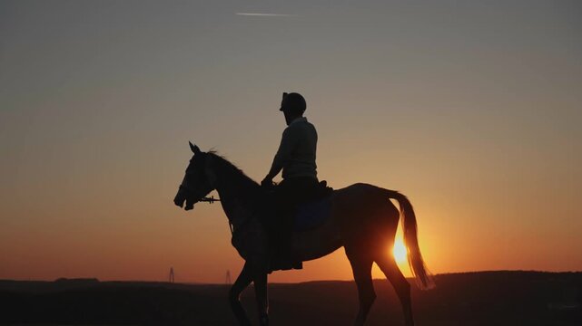 horse at sunset