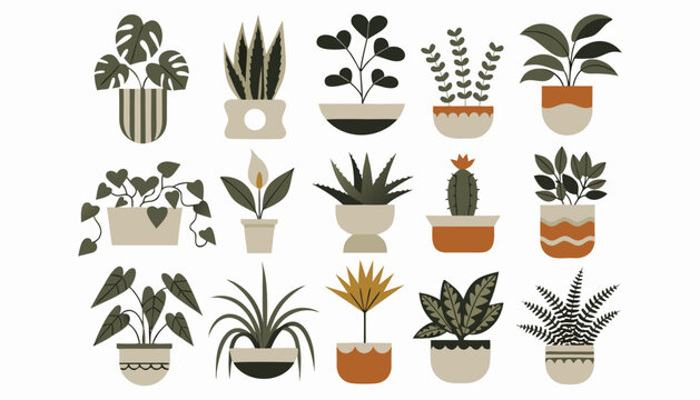 Various indoor houseplant illustrations in decorative pots, flat vector design for home decor