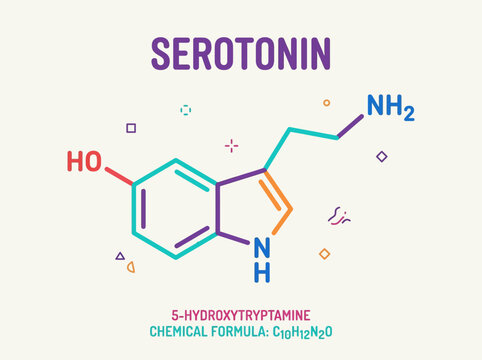 Serotonin chemical structure diagram. Molecular formula of 5-hydroxytryptamine neurotransmitter.