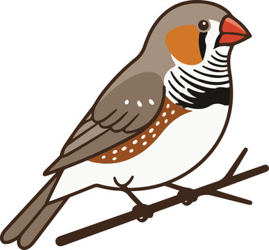 Simple flat vector illustration of a colorful zebra finch bird perched on a tree branch.