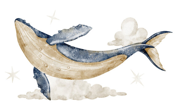 Whale with clouds and stars watercolor illustration. Big marine animal in the sky on isolated background. Fantasy celestial marine composition for nursery poster and childish storybook themes.