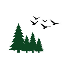 Fototapeta premium Evergreen Forest with Flying Birds Silhouette Nature Vector Illustration