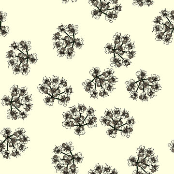 pattern food cumin hand drawn. herb aroma, seed cuisine, flavor aromatic food cumin vector sketch illustration