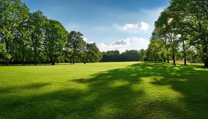 Obraz premium Vibrant Outdoor Setting Showing A Wide Grassy Ground With Tall Tree Borders On A Summer Day