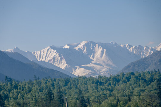 Majestic snowcapped mountain range rising above dense green pine forest under blue sky