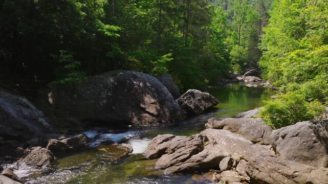 A gentle river winds between massive boulders and green pools in a sunlit Tennessee forest, with tall trees rising along the banks under a summer sky.