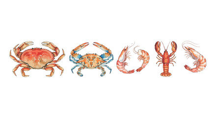Watercolor illustration of crabs lobster and shrimp on a white background © PROMA