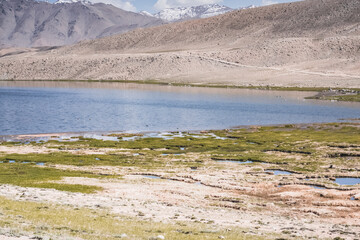 Clear-water rivers and lakes in a mountain valley, pastures and green grassy fields set against mountain ranges and snow-capped, glacier-clad peaks—a scenic landscape background © Denis