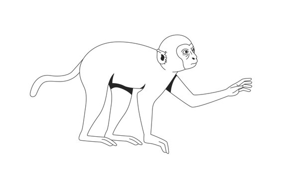 Macaque monkey extending one arm forward line art character. Indonesian wildlife. Southeast asian exotic mammal. Tropical primate isolated vector outline animal. Black and white spot illustration
