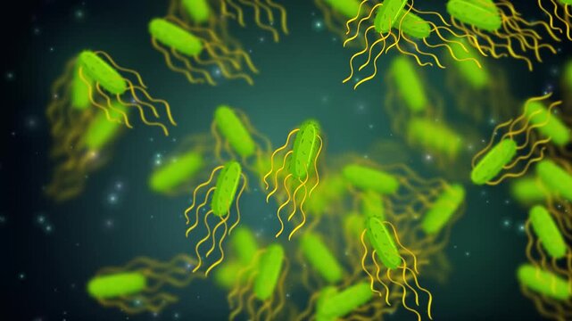 Microscopic View of Green Bacteria Cells Floating in Dark Fluid