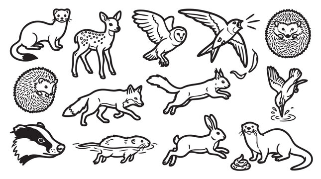 Set of black and white line art vector illustrations of various woodland animals.