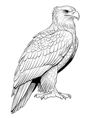 Fototapeta premium A Eagle Mandala Animal Coloring Page Vector