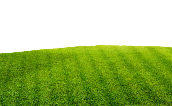 Green football field grass isolated on transparent background