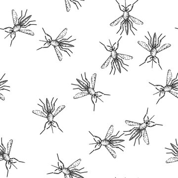 seamless pattern virus mosquito hand drawn. insect control, prevention repellant, breeding larvae virus mosquito black sketch illustration