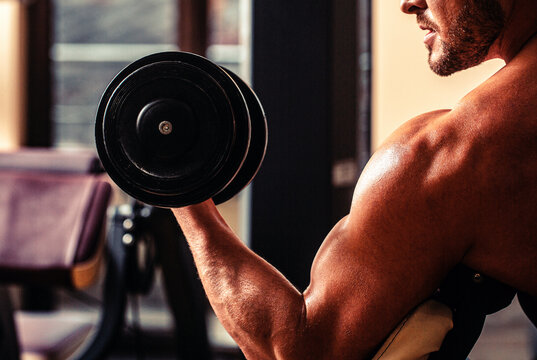 Dumbbell weights at the gym. Man lifting dumbbell in a gym making exercise for muscles