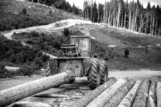 Logging truck. Forestry tractors, trucks and loggers machinery. Forest industry. Black and white