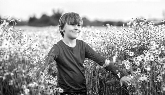 Happy cheerful child boy walk in chamomile meadow pick up flowers outdoor. Black and white