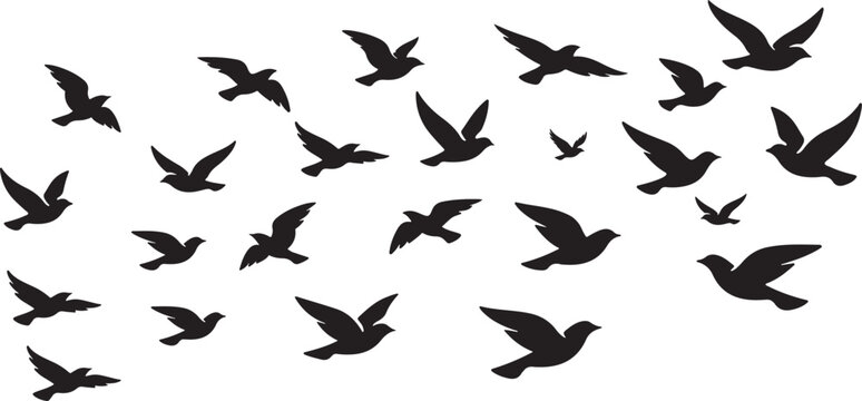 A flock of flying birds silhouette icon vector clipart, black bird flock design, editable EPS, isolated on white background for logos, branding, web, print, Adobe Stock.