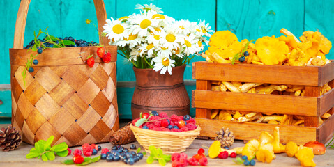 Ripe juicy blueberries in a wicker basket, raspberries, chanterelles in a wooden crate, and chamomile flowers. © lizavetta