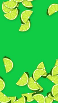 Falling Fresh Lime Slices on Solid Green Background Vertical Animation