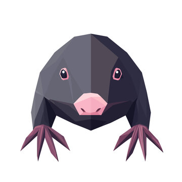 Low poly mole illustration