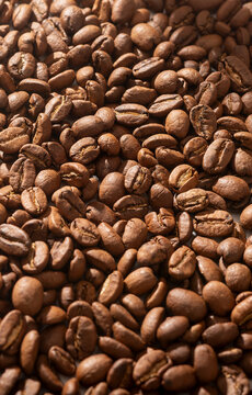 A close up of roasted coffee beans fills the square frame with rich warm tones. Dark brown beans are packed tightly together showing fine surface detail. Concept of coffee close up