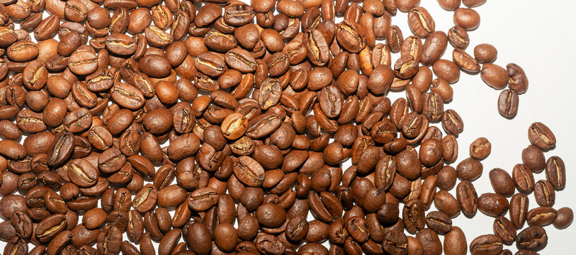 Roasted coffee beans spread diagonally across a white background from corner to corner. A flowing line of dark brown beans creates a natural scattered composition. Concept of