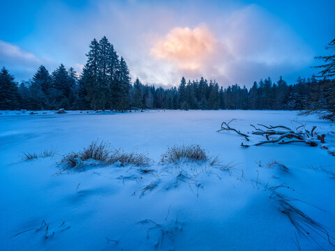 Kalter Wintermorgen im Th&uuml;ringer Wald
