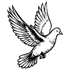 Fototapeta premium Flying white dove bird illustration