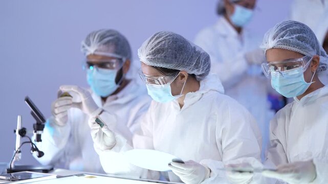Cleanroom technicians in coveralls hold and inspect silicon wafer discs beside a microscope under controlled lighting.