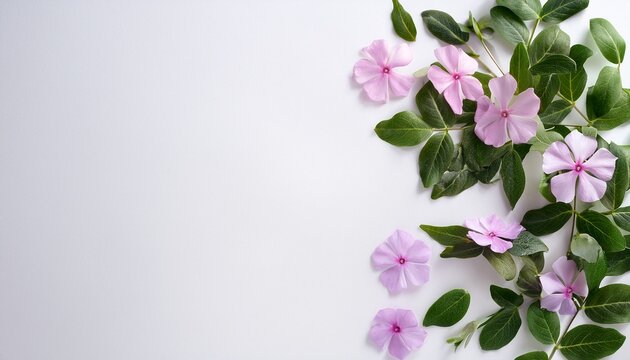 Soft Focus Wild Rose Periwinkle Flat Lay Mockup Neutral Background For Branding