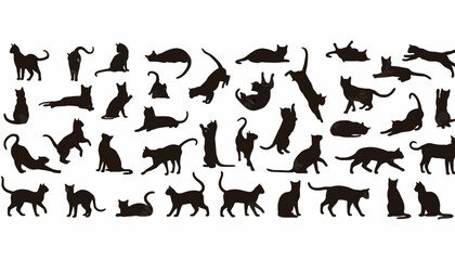 Cats in various poses are depicted as black silhouettes to illustrate feline movement and behavior. © Hassnain