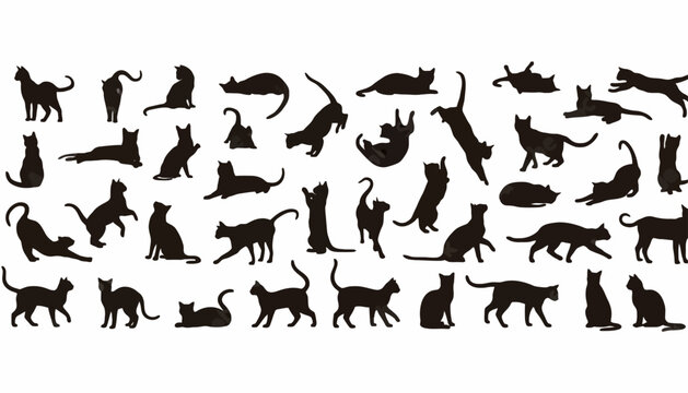 Cats in various poses are depicted as black silhouettes to illustrate feline movement and behavior.