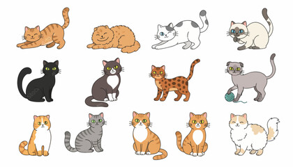 Fototapeta premium Cats collection displays various breeds in different poses including sitting, stretching, and playing with a yarn ball.
