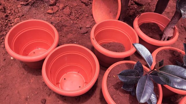 High angle view of empty terracotta color plastic pots prepared for planting.