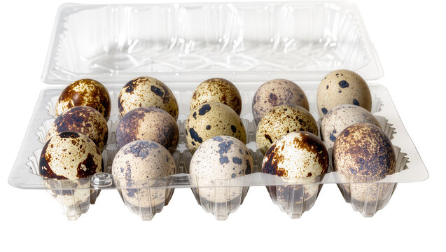 Twelve speckled quail eggs in a clear plastic carton, isolated on transparent background